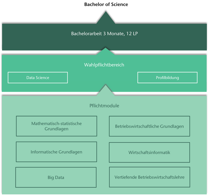 Modulplan des Studiengangs Digitales Management