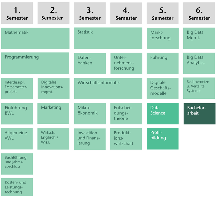 Modulplan des Studiengangs Digitales Management